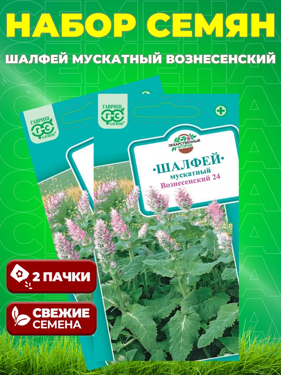 Семена шалфея: ароматные травы для сада.