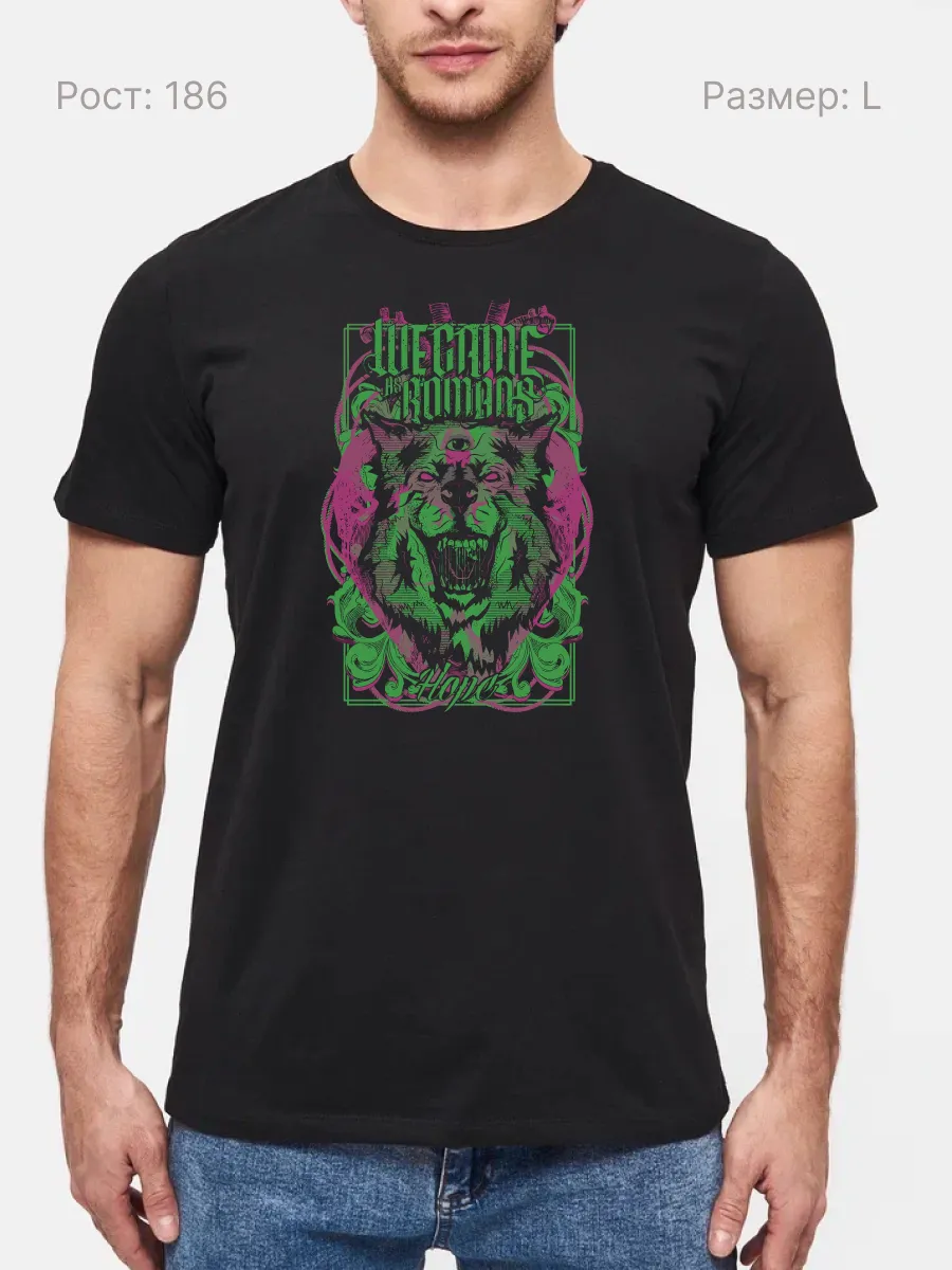 Футболка We Came As Romans метал