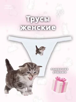 Стринги с принтом кричащего котёнка cringe.clothes 398574814 купить за 389 ₽ в интернет‑магазине Wildberries