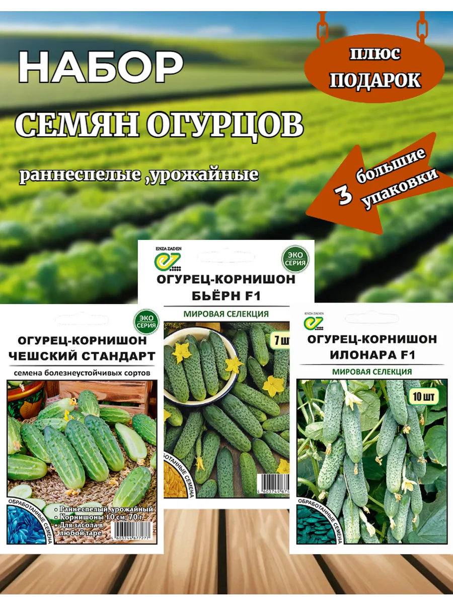 Набор семян огурцов.