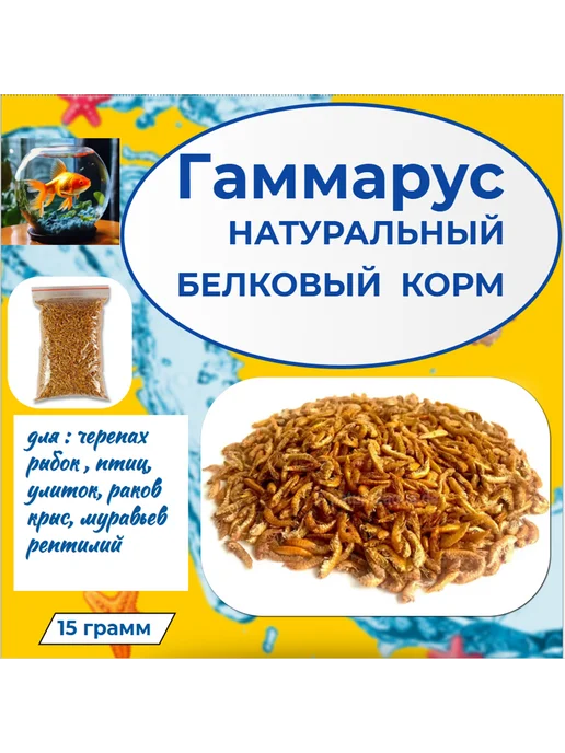 стиль юг и север Гаммарус для черепах, для рыб, для улиток, вариант, фото 2