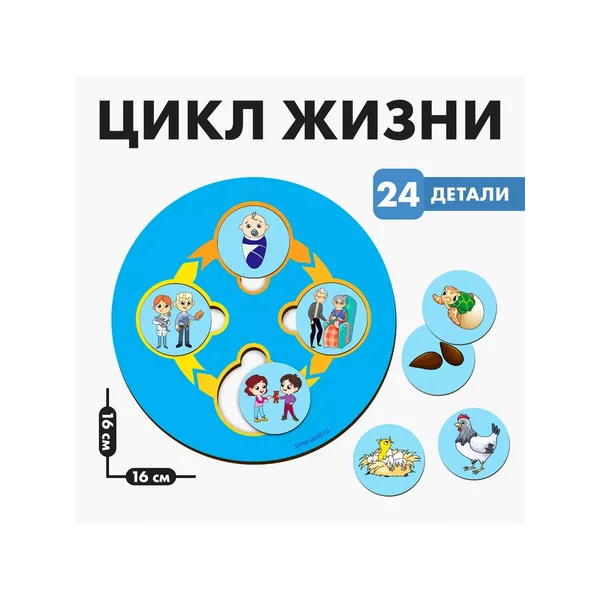Развивающая игра из дерева «Цикл жизни»