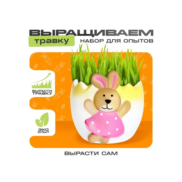 Набор для опытов Выращиваем травку, зайка