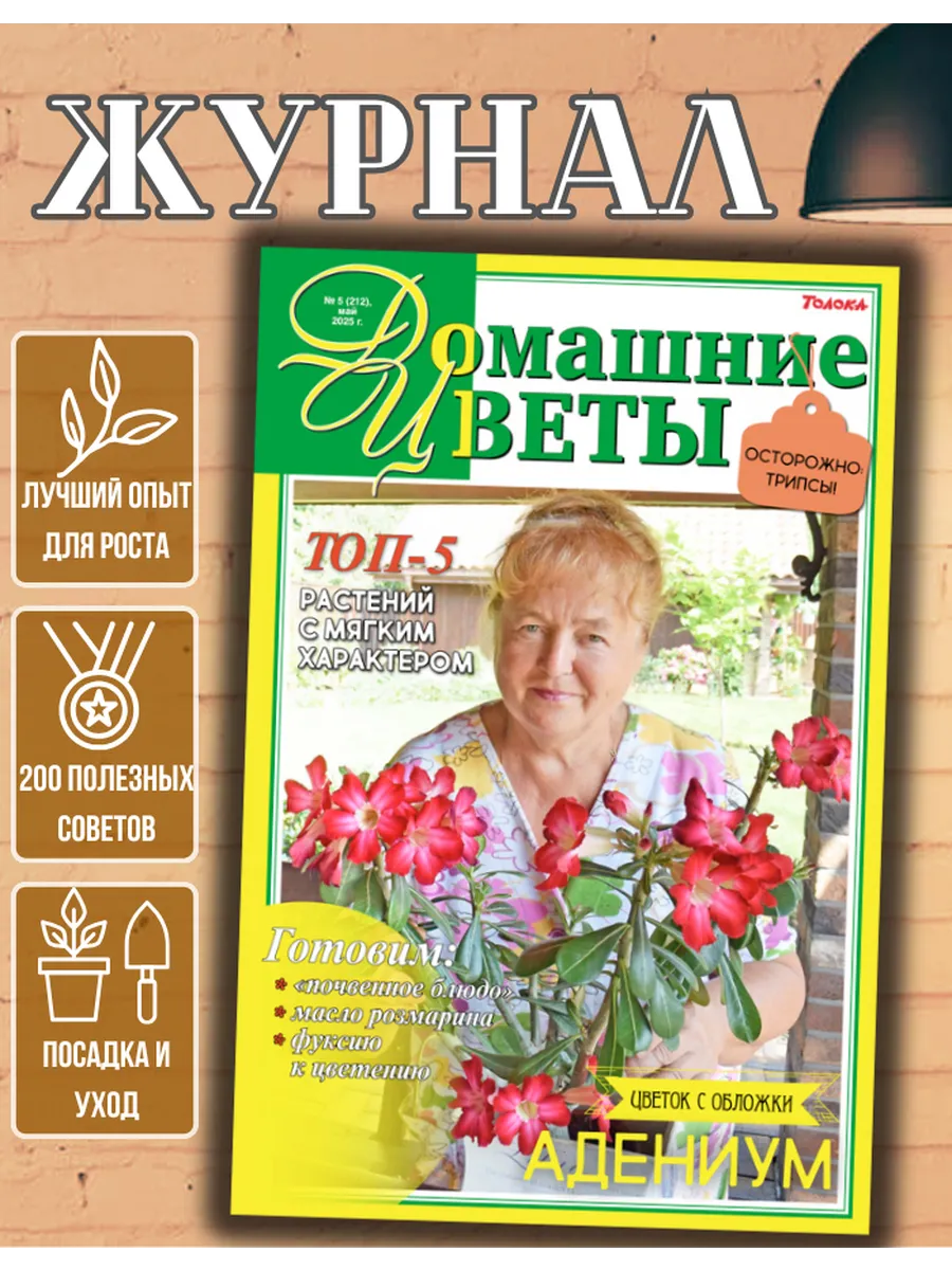 журнал. Комнатные растения №5/25 Адениум