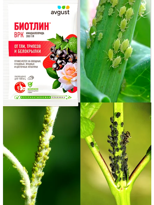 АВГУСТ Биотлин от тли и вредителей для растений, 2 шт, 2 шт, фото 2