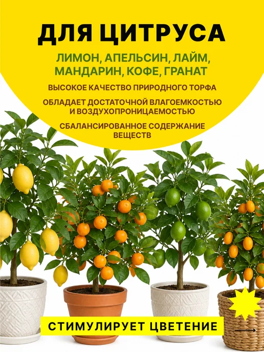 ФАБРИКА ГРУНТОВ Грунт для пальм, инжира и цитрусовых 5 л, 5 л, фото 2
