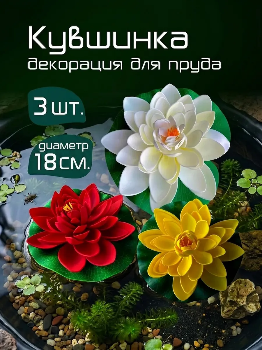 Кувшинка садовая плавающая для пруда 3 шт.