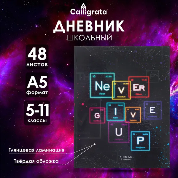 Дневник школьный для мальчиков 5-11 класс