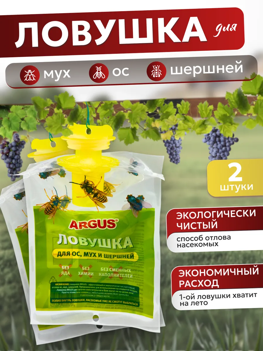 Ловушка для ос, мух и шершней