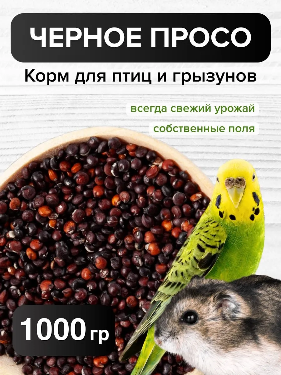 Просо Черное корм для попугаев птиц и грызунов 1000г.