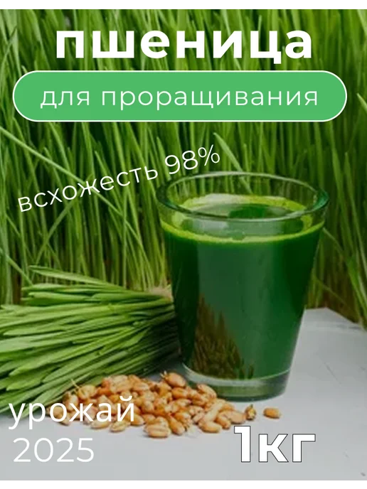 Пшеница зерно для проращивания 1кг, 1 кг