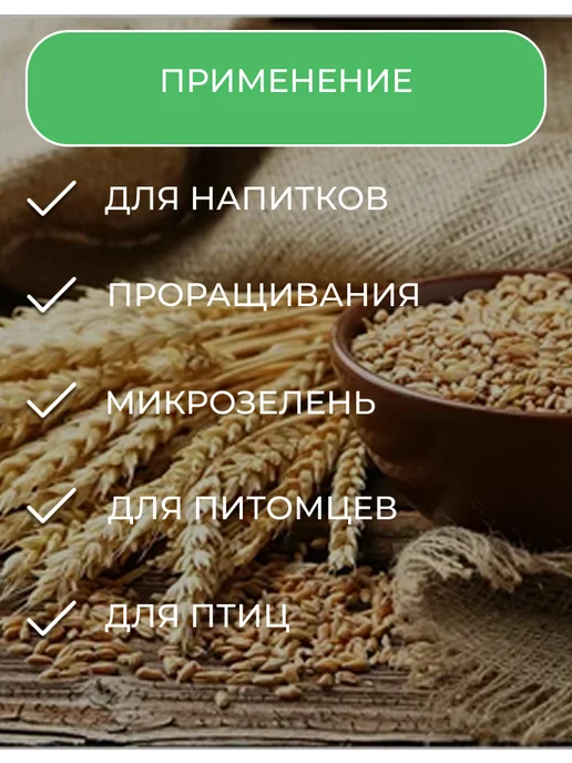 Пшеница зерно для проращивания 1кг, 1 кг, фото 4