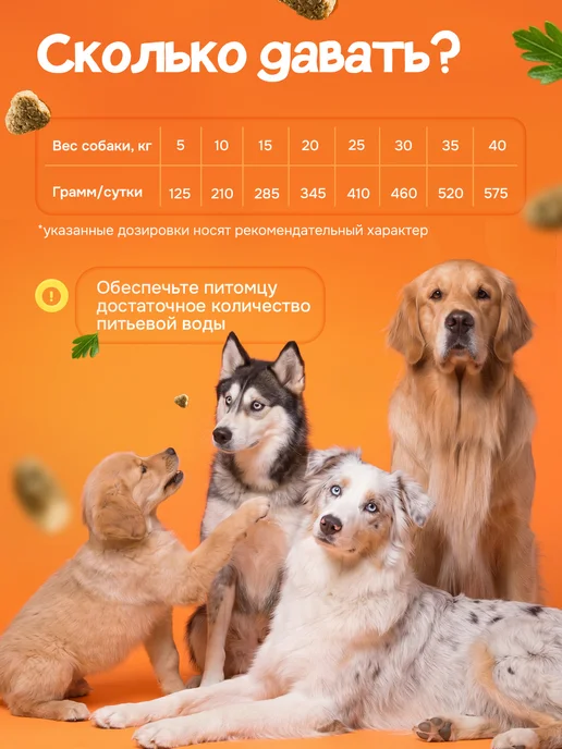 Сухой корм ХВОСТиУС для собак, средние, курица, 3 кг, фото 4