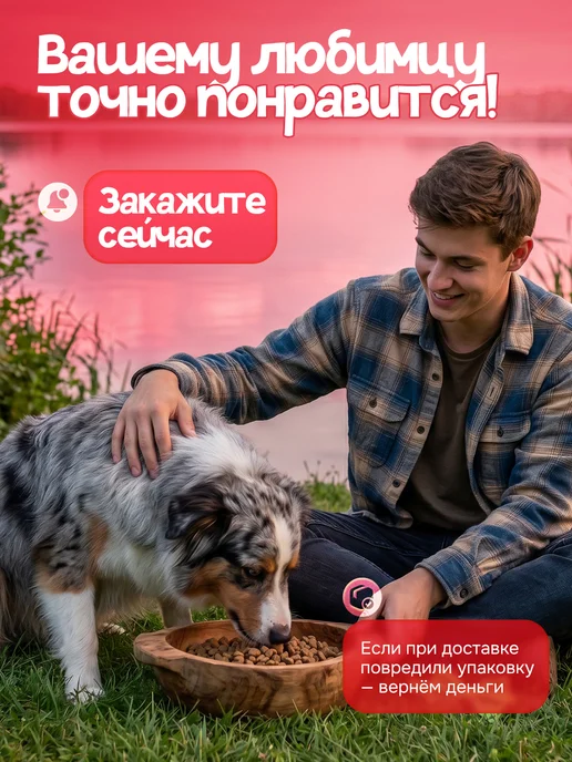 Сухой корм ХВОСТиУС для собак, ягненок, 3 кг, фото 6