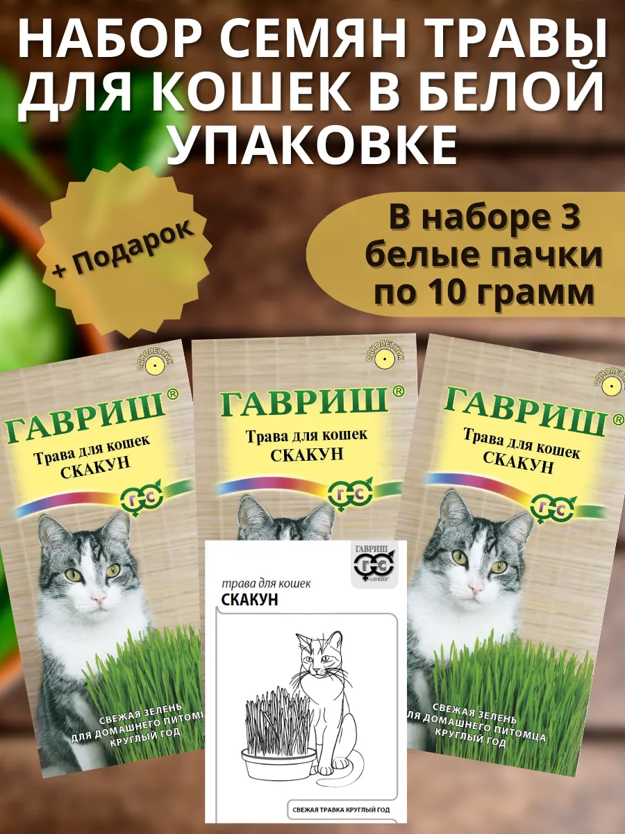 Семена травы для кошек для проращивания Скакун