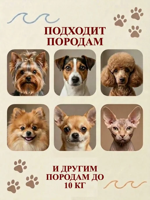 ZooTwoNatiPremium Майка для кошек и собак, коричневый, фото 3