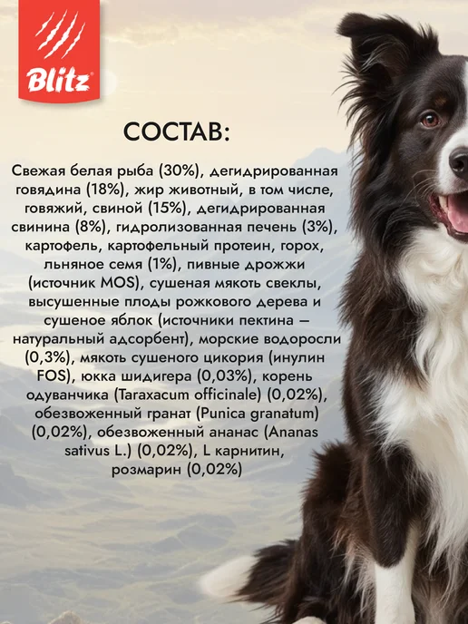 Сухой корм BLITZ для собак, взрослые, говядина, рыба, 1,5 кг, фото 2