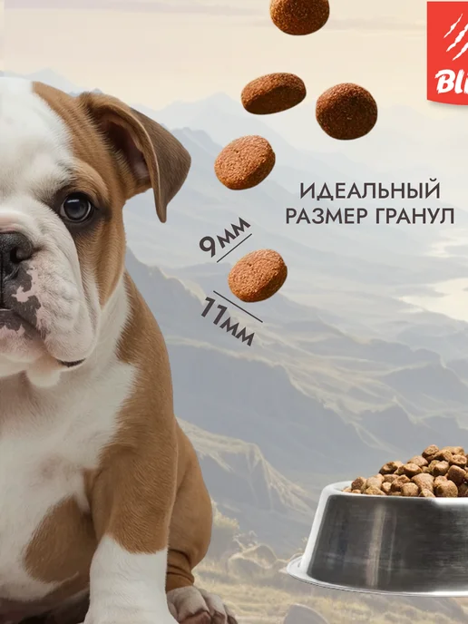Сухой корм BLITZ Holistic для собак, щенки, индейка, утка, 1,5 кг, фото 3