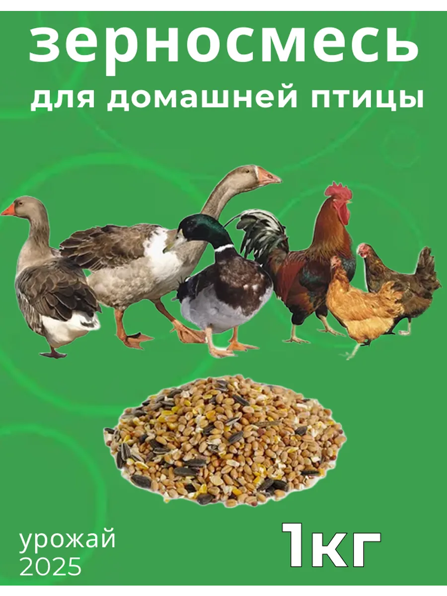 Зерносмесь для домашней птицы 1 кг