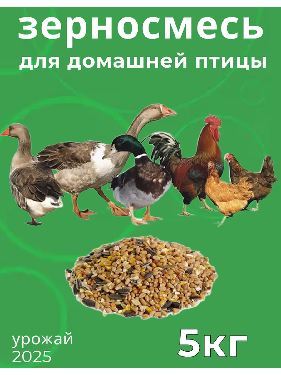 Зерносмесь для домашней птицы 5 кг