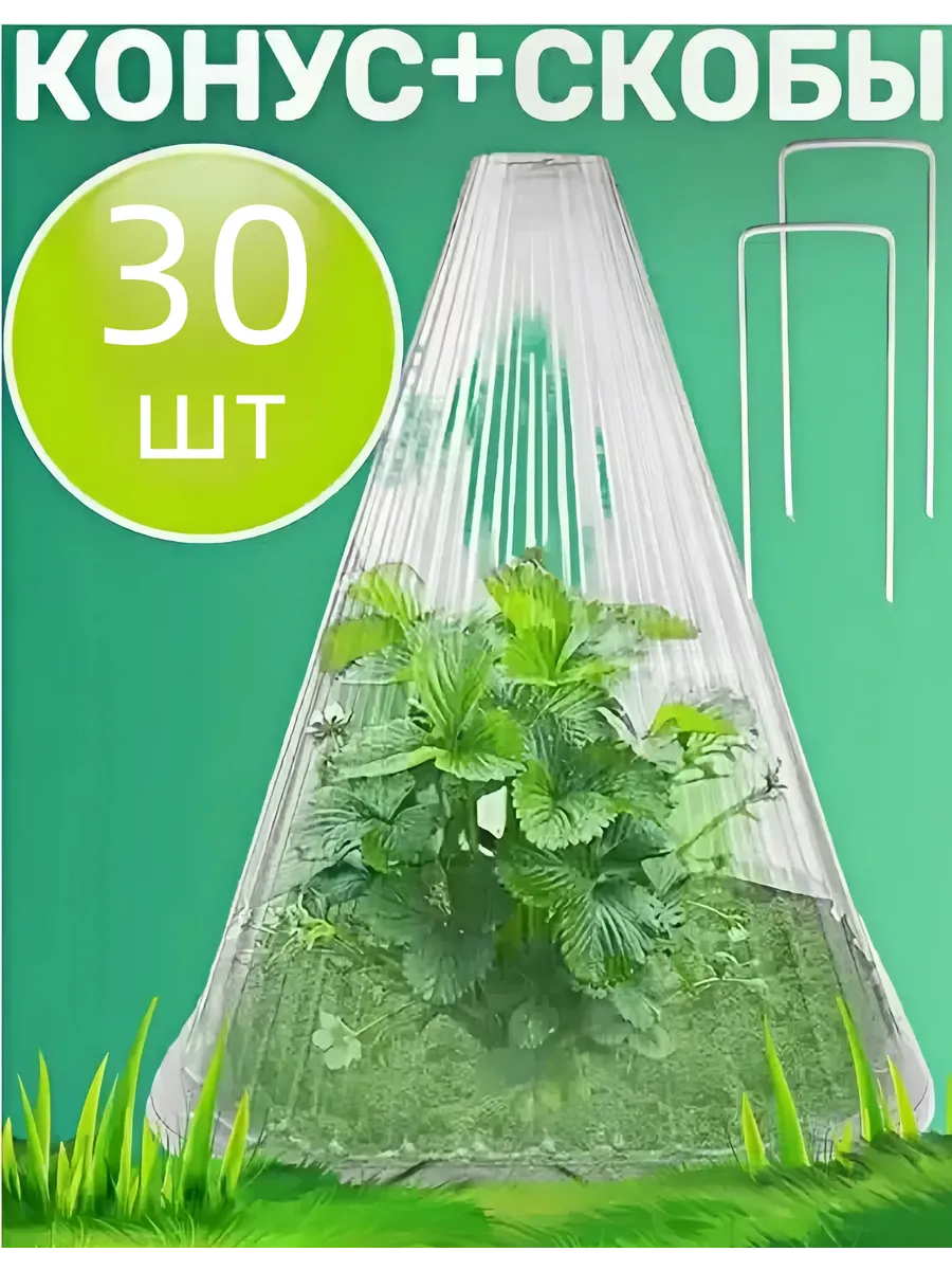Тепличный конус + кронштейн для рассады