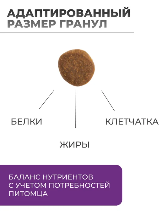 Сухой корм Gemon Нормальной Активностью для собак, взрослые, 20 кг, фото 2