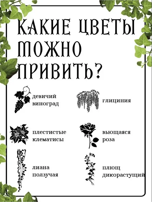 KAUFEN Арка садовая металлическая для вьющихся растений 240х140, вариант, фото 6