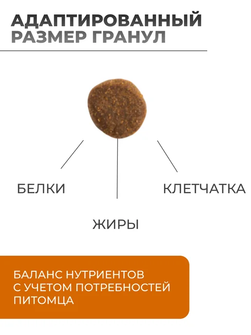 Сухой корм vivere Dog для собак, взрослые, крупные, лосось, 12 кг, фото 2