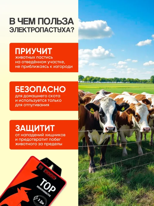 Kaas Электро пастух для коров и овец комплект 5, вариант, фото 6