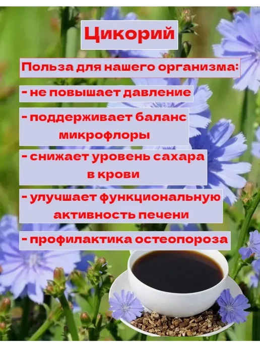 Бабушкин хуторок Цикорий растворимый 300г с экстрактами шиповника и черники, 300 г, фото 7