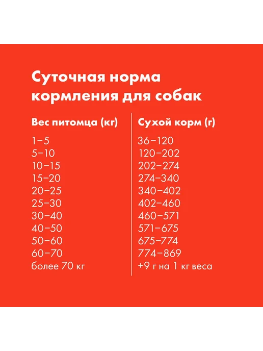 Сухой корм ULTRA Аппетитные Кружочки для собак, курица, 0,6 кг, фото 5