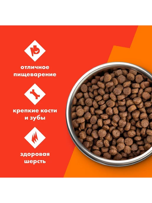 Сухой корм ULTRA для собак, говядина, индейка, курица, 0,6 кг, фото 2