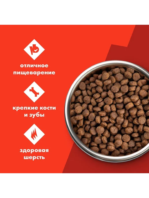 Сухой корм ULTRA Аппетитные Кружочки для собак, говядина, 0,6 кг, фото 2