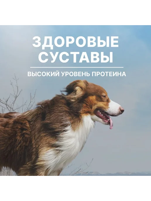 Сухой корм NERO GOLD Healthy Joint для собак, ягненок, 0,5 кг, фото 3