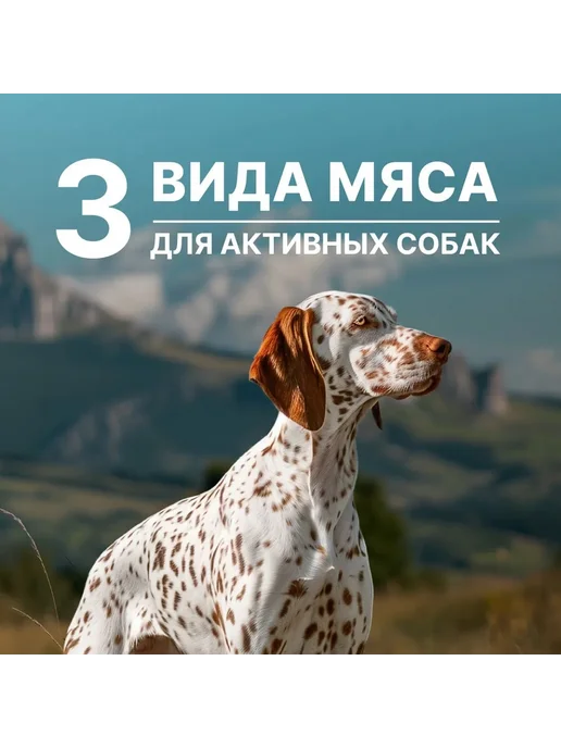 Сухой корм NERO GOLD Active Коктейль для собак, щенки, мясо, 0,5 кг, фото 3