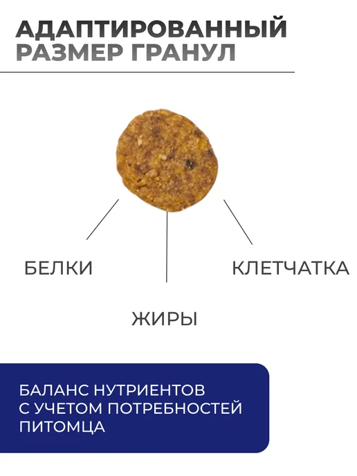Сухой корм Farmina Pumpkin для собак, мелкие, щенки, 7 кг, фото 2