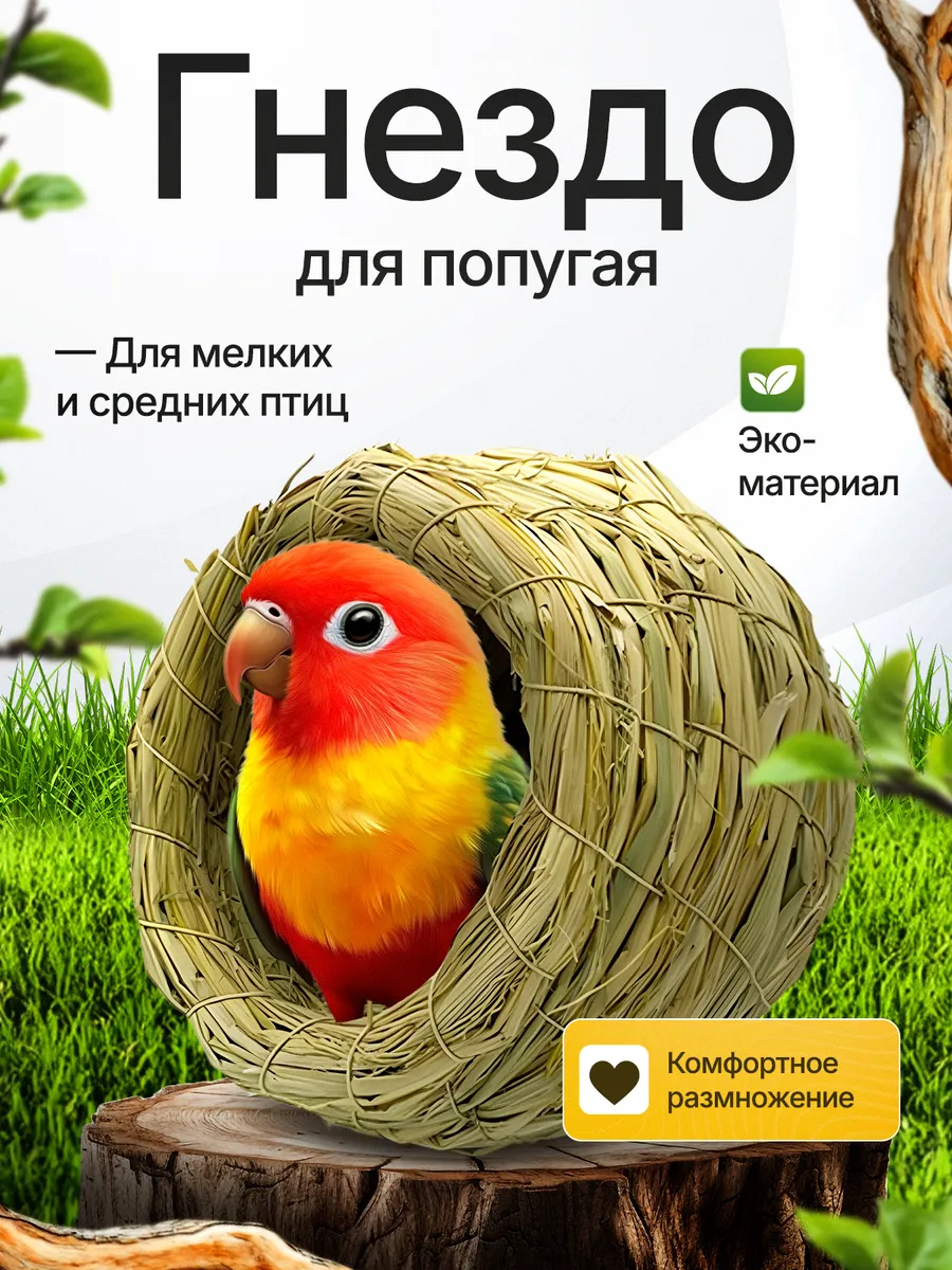 Гнездо для попугая