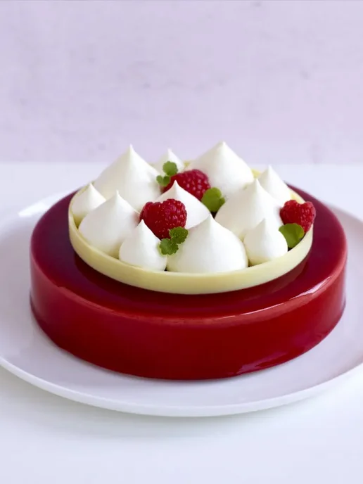 Puratos Растительные сливки Шантипак 6л и кондитерский мешок, 6 л, фото 6