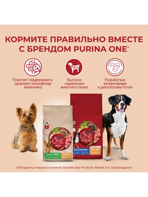Сухой корм PURINA ONE для собак, взрослые, мелкие, курица, 1,5 кг, фото 3