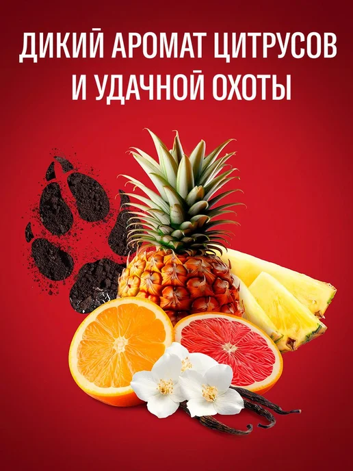 Old Spice Твердый дезодорант Wolfthorn 50мл + 50мл, 50 мл, 50 мл, фото 4