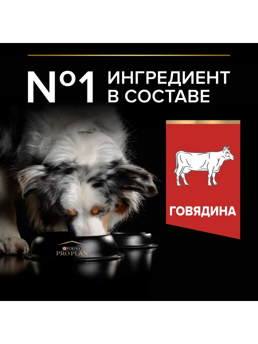 Сухой корм PRO PLAN для собак, взрослые, говядина, 10 кг, фото 2