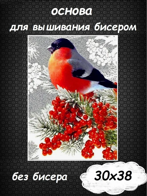Картины Бисером Основа для вышивания бисером "Снегирь" 30х38, 30x38
