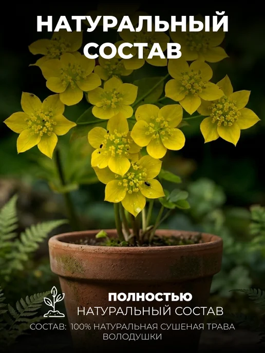 Мед и Конфитюр Травяной сбор Володушка золотистая трава 30 гр, 30 г, фото 3