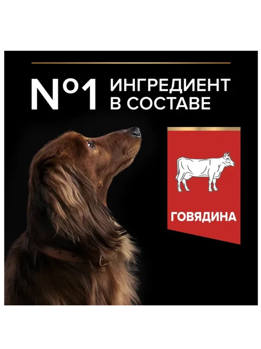 Сухой корм PRO PLAN Карликовых Duo для собак, мелкие, 2,5 кг, фото 2