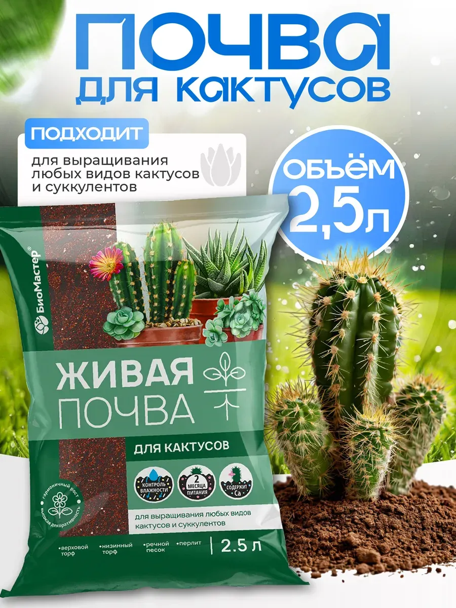 Грунт почва для кактусов и суккулентов