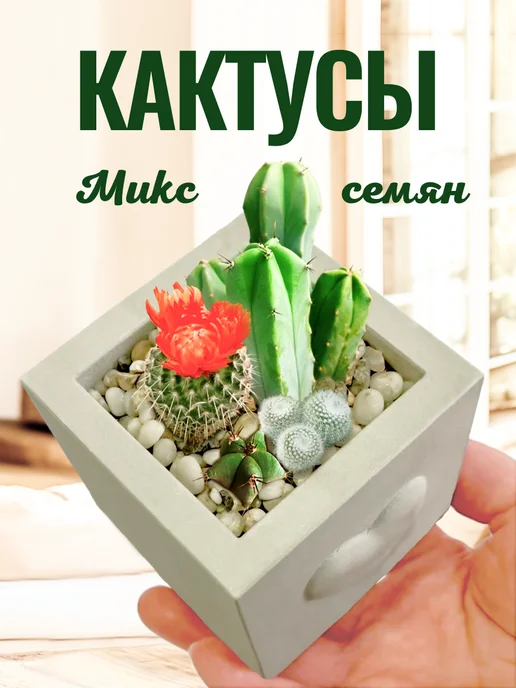 ЭкоКлуб Набор для выращивания растений Микс Кактусов, вариант