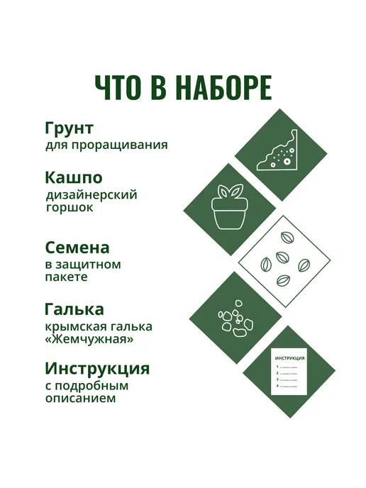 ЭкоКлуб Набор для выращивания растений Микс Кактусов, вариант, фото 2