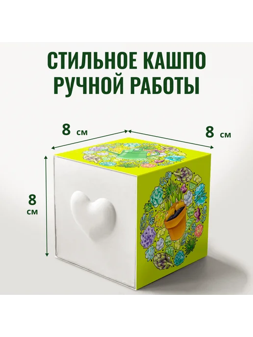ЭкоКлуб Набор для выращивания растений Микс Кактусов, вариант, фото 3
