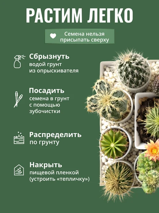 ЭкоКлуб Набор для выращивания растений Микс Кактусов, вариант, фото 7