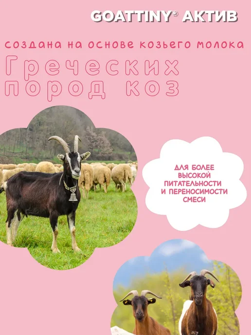 GOATTINY Смесь низколактозная Актив на козьем молоке, 350 г, 700 г, фото 6